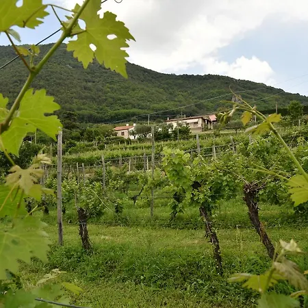Ca' Panagia *