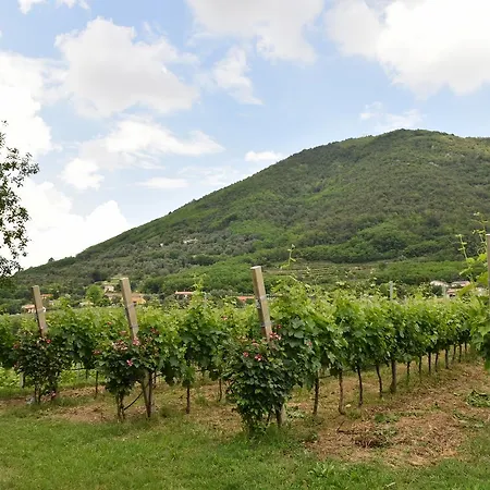 Bed & Breakfast Ca' Panagia