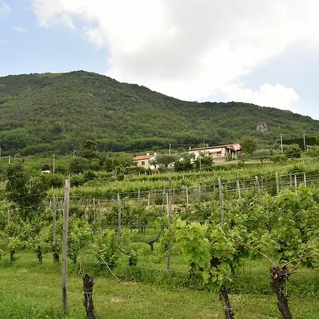 Ca' Panagia *